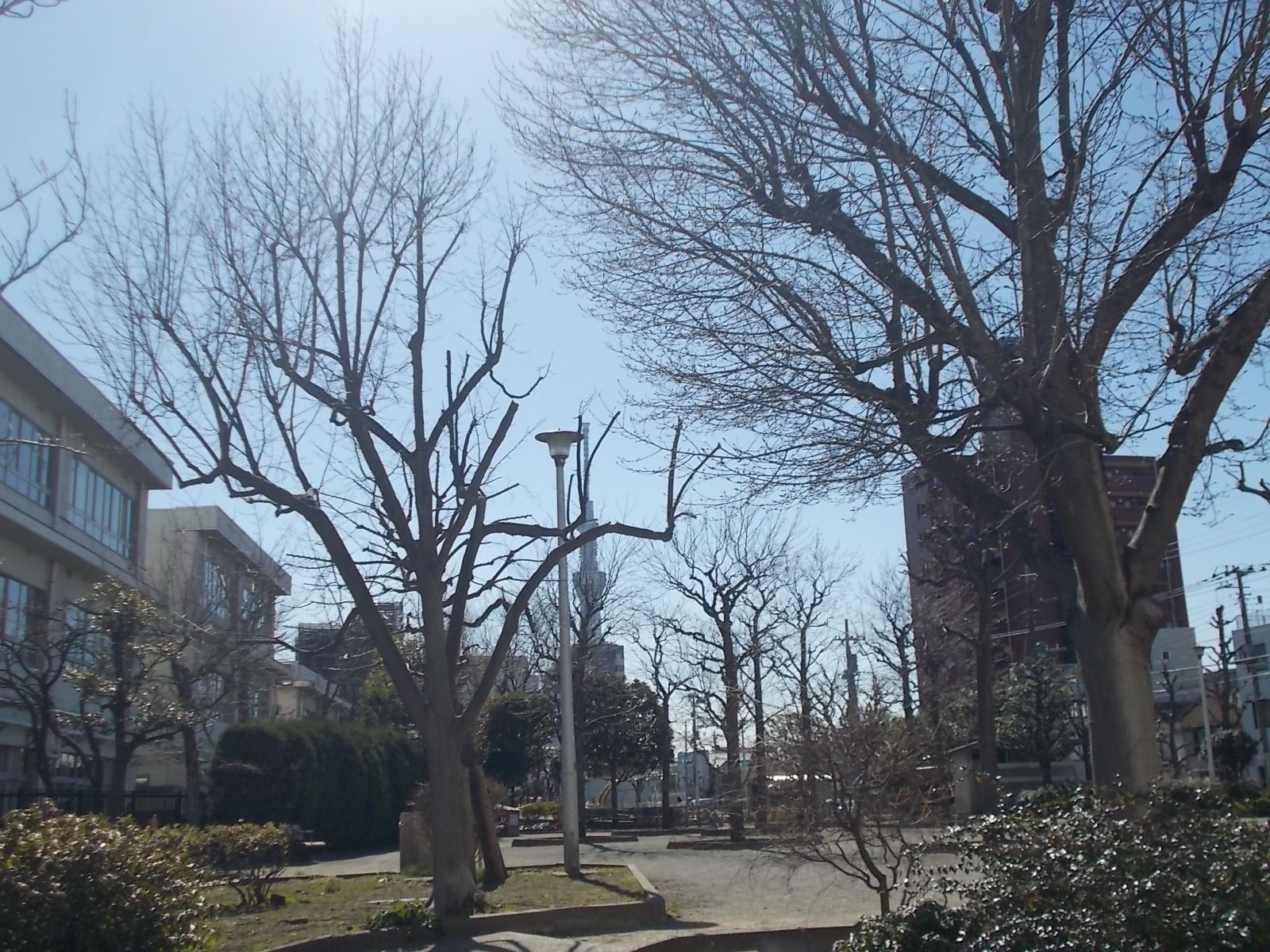 八広公園