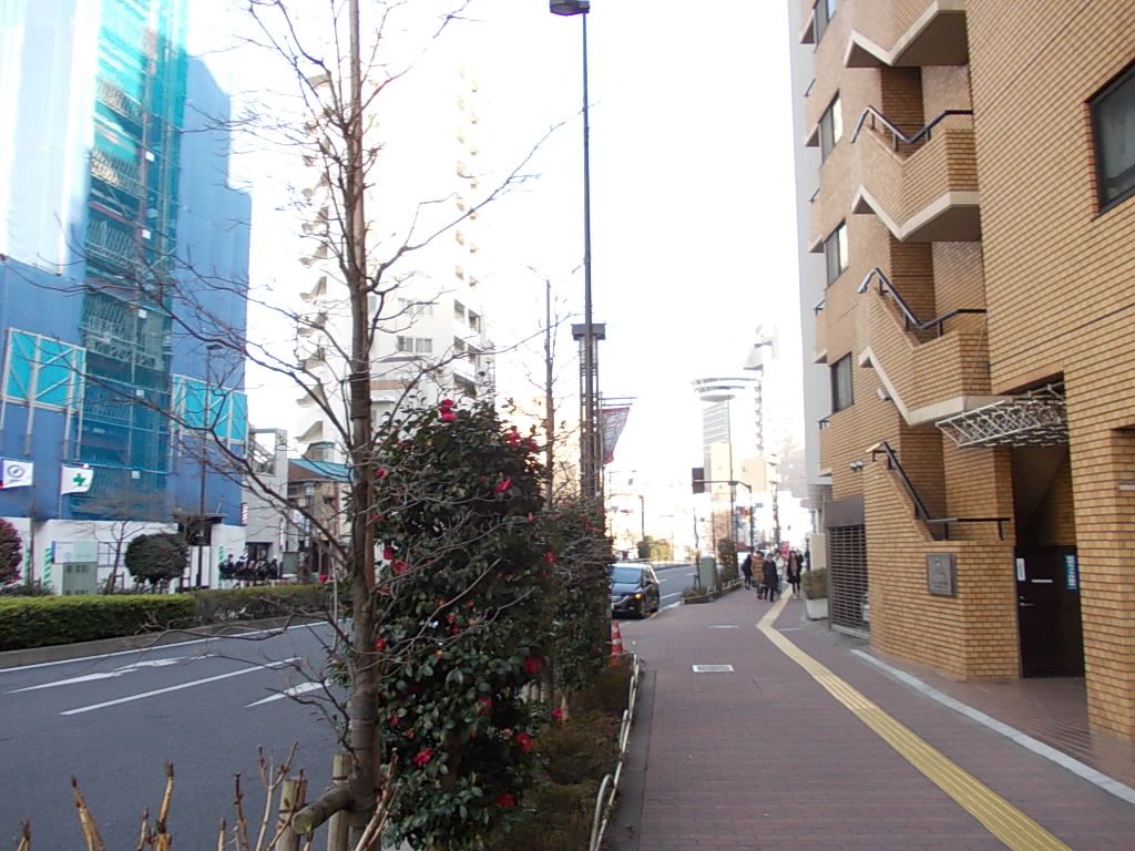 SIビル前は春日通り