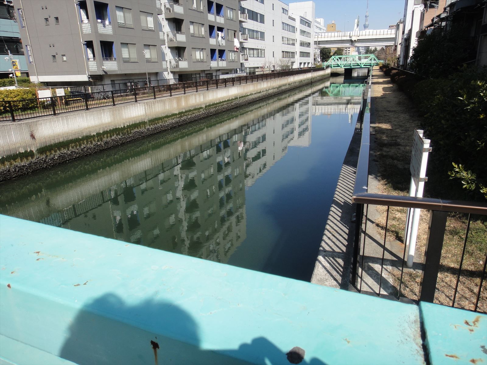 周辺は落ち着いた雰囲気のエリア