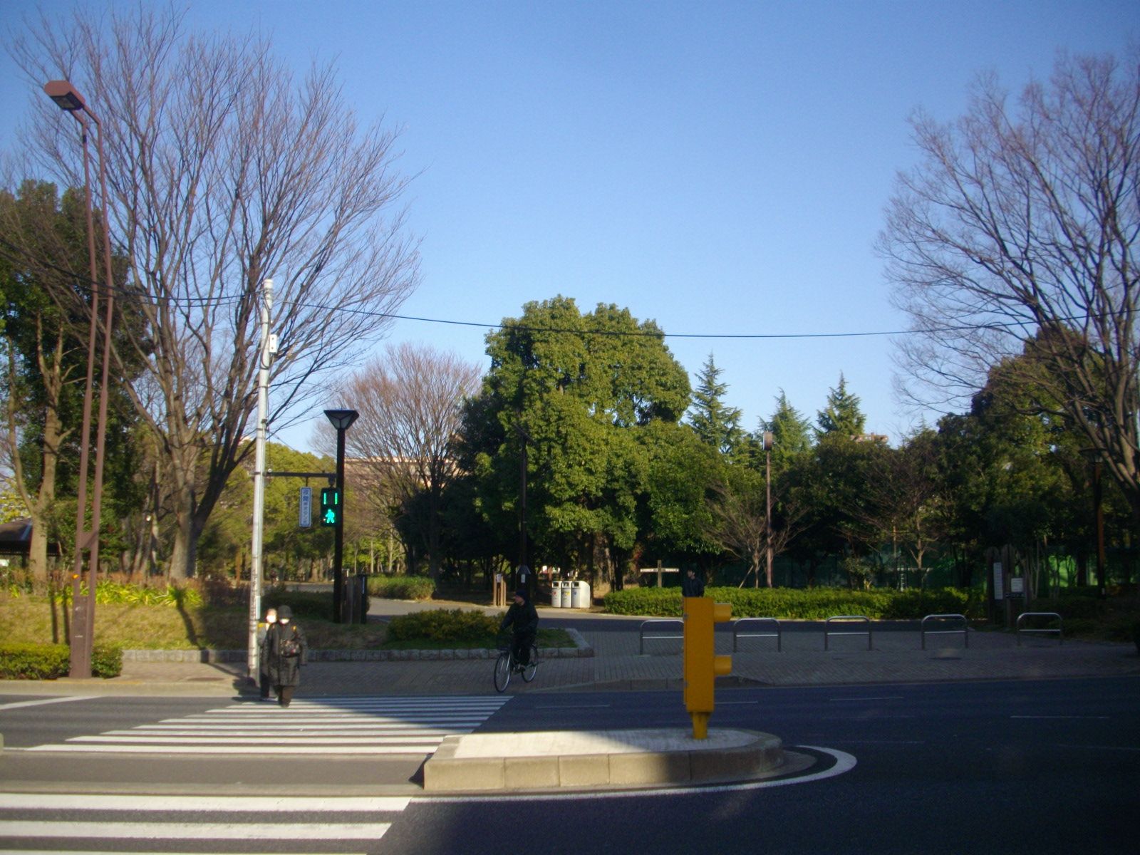 木場公園