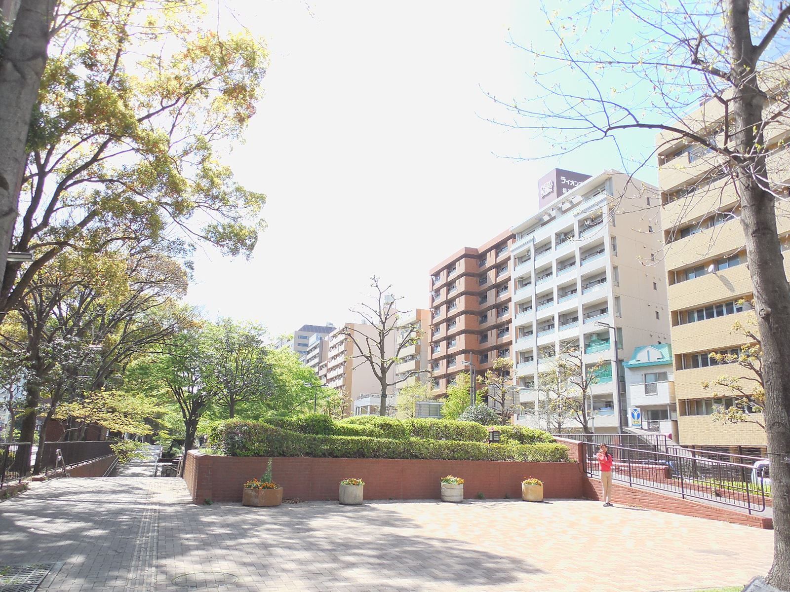 近くには大きな公園