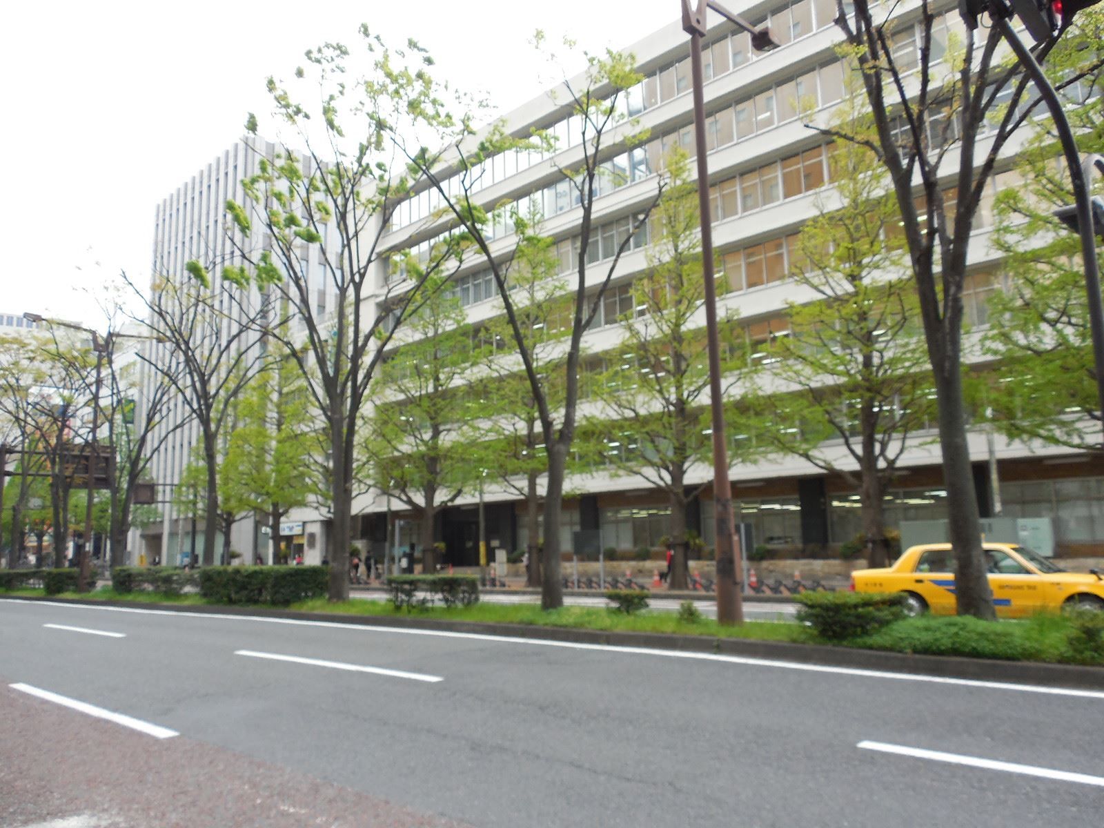 前面道路の雰囲気