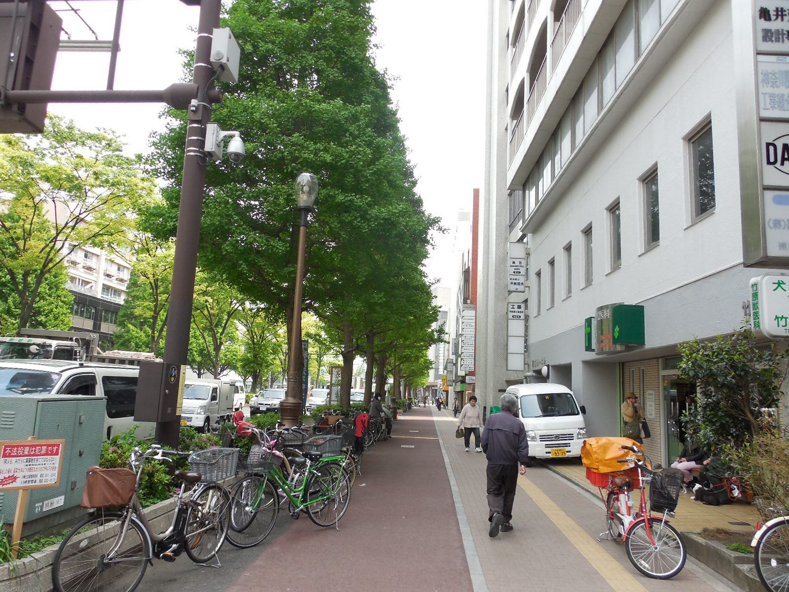 緑の多い周辺環境