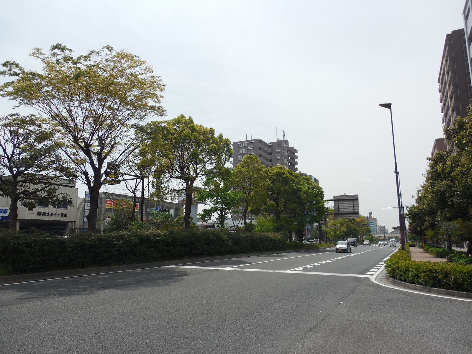 緑の多い周辺環境