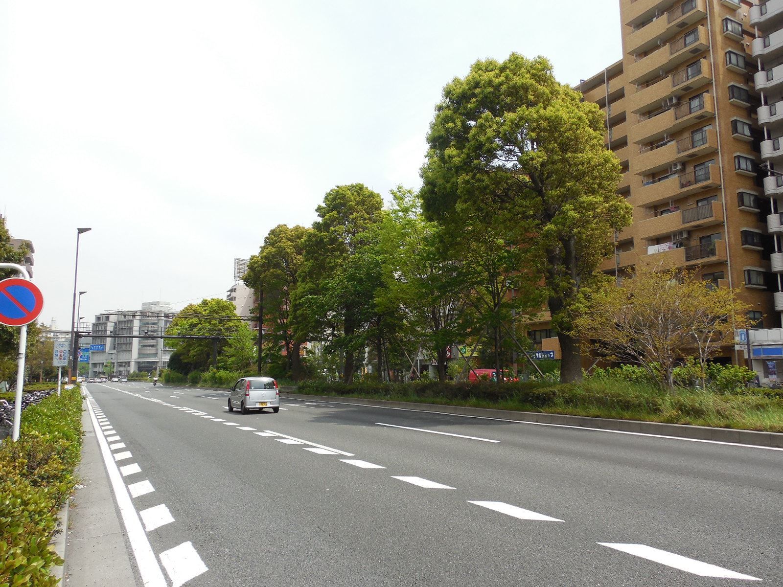 交通量は比較的多めの前面道路