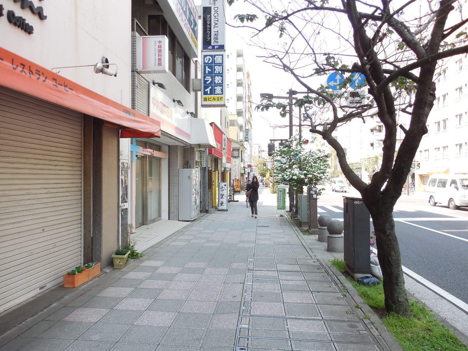 落ちついた周辺環境