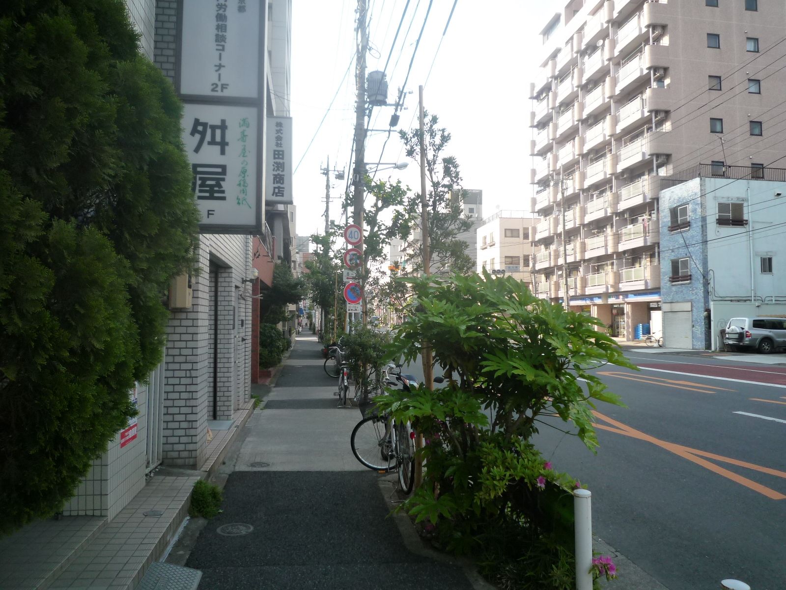 ビル前面の通り