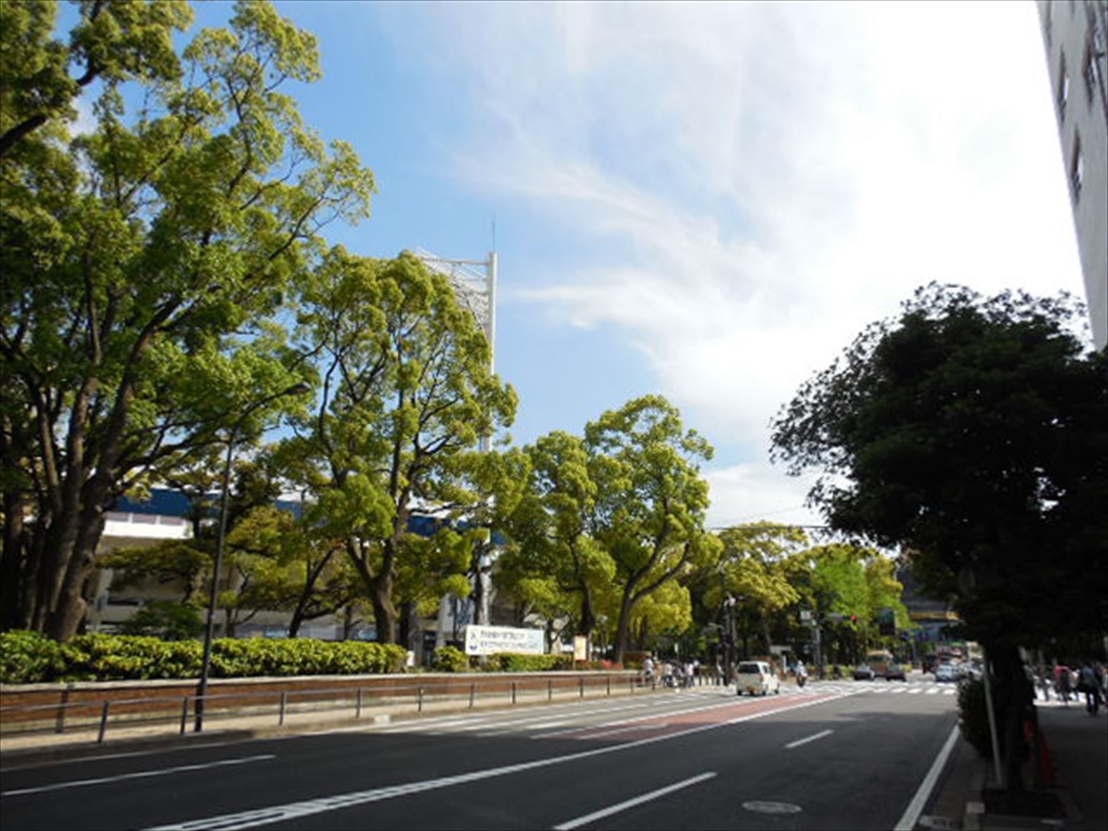 横浜公園が目の前の立地