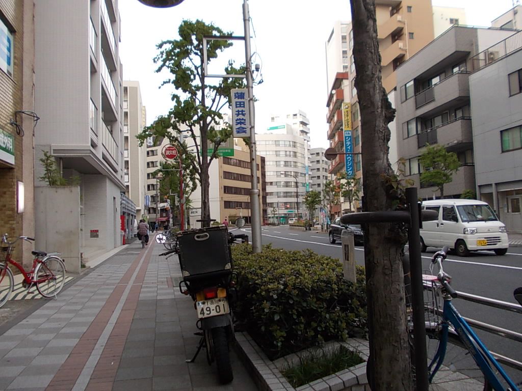 オフィス前面の歩道