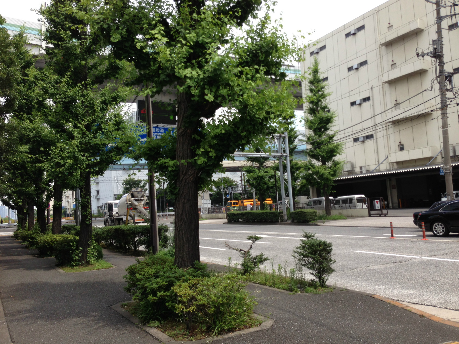 落ち着いた雰囲気