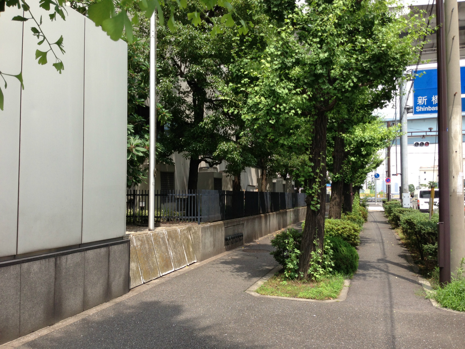 緑のあふれる歩道