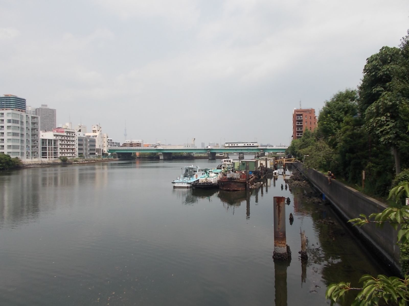 隅田川の雄大な景色