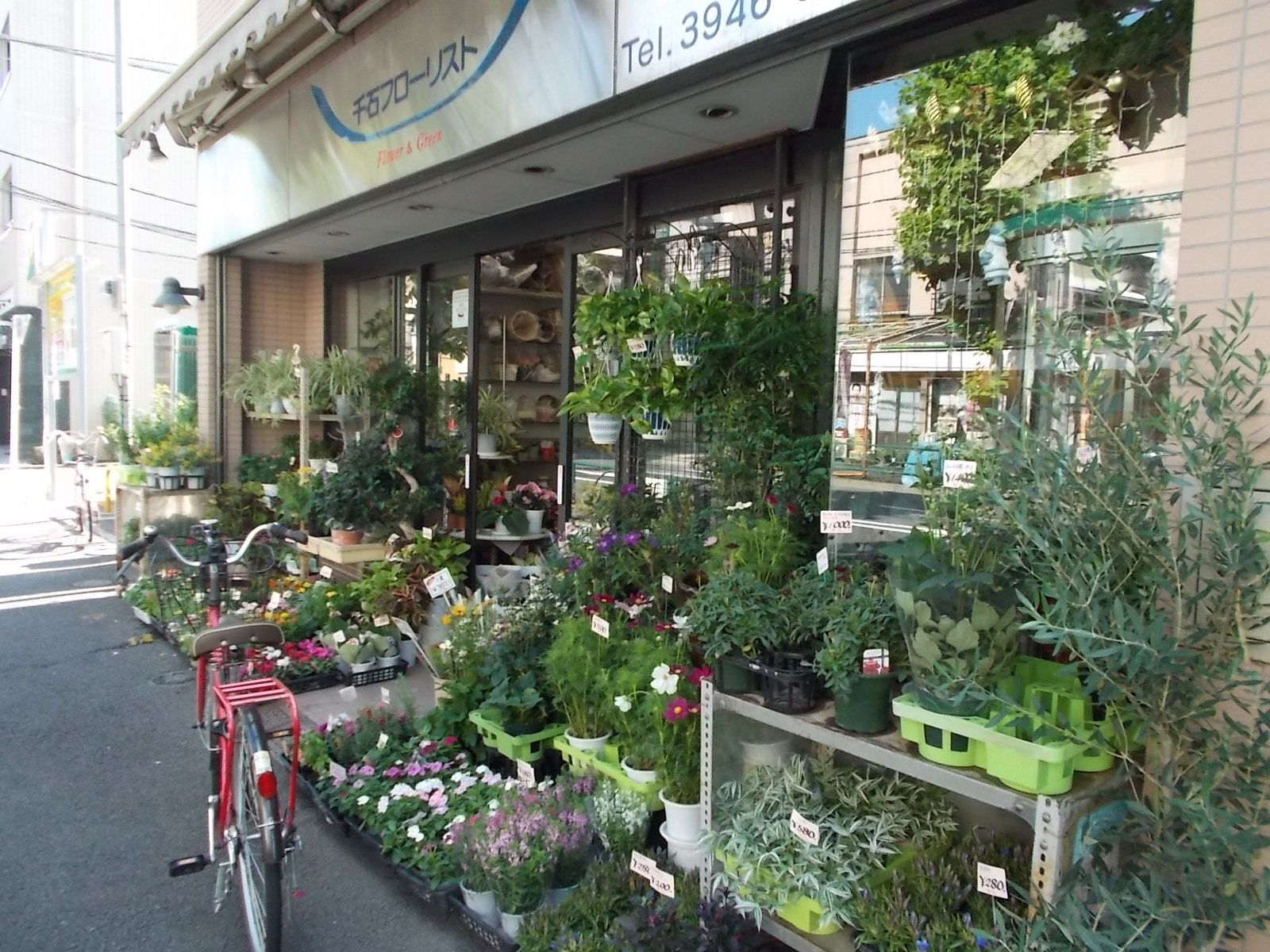 近くのお花屋さん