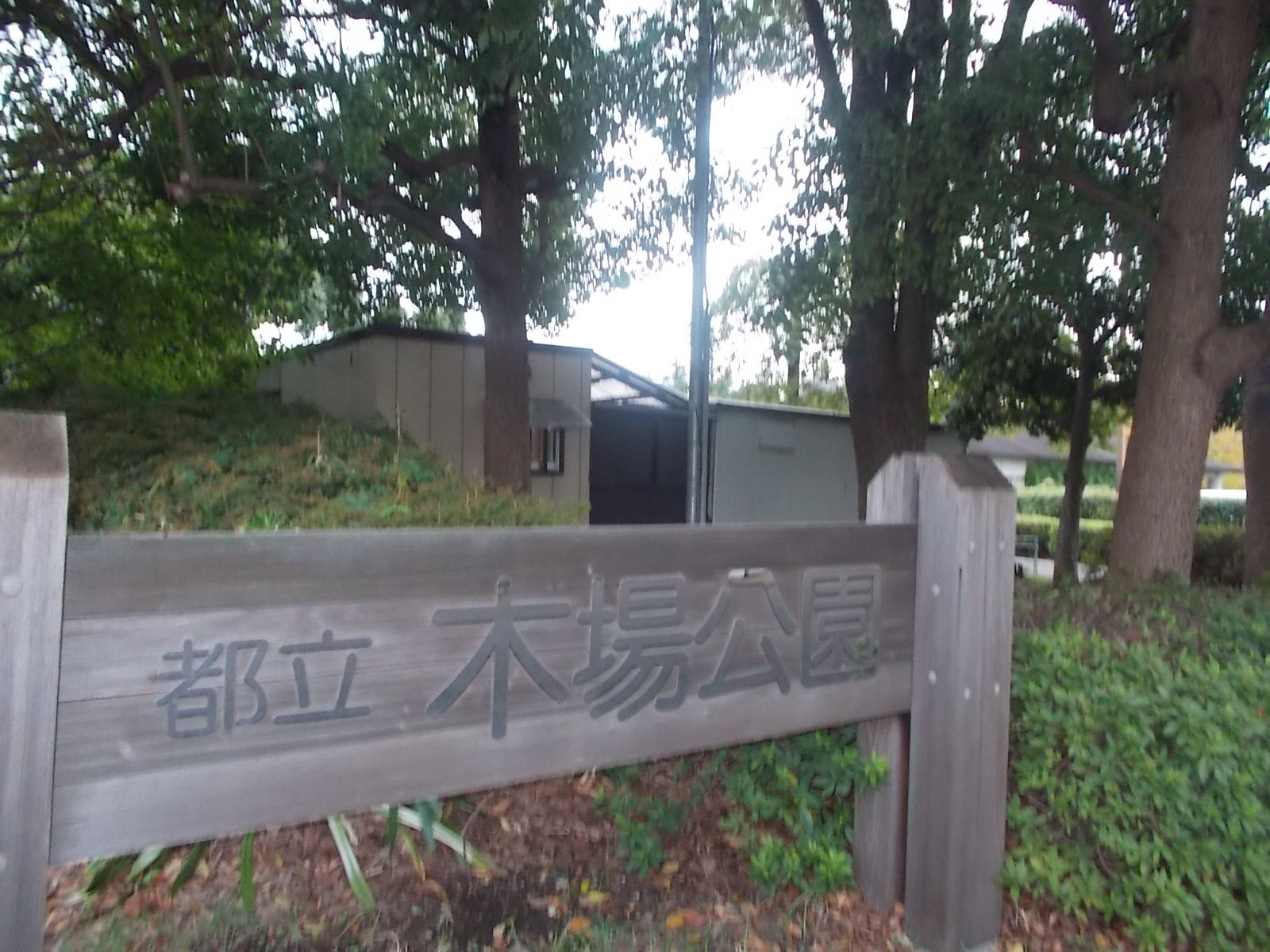 目の前は木場公園！