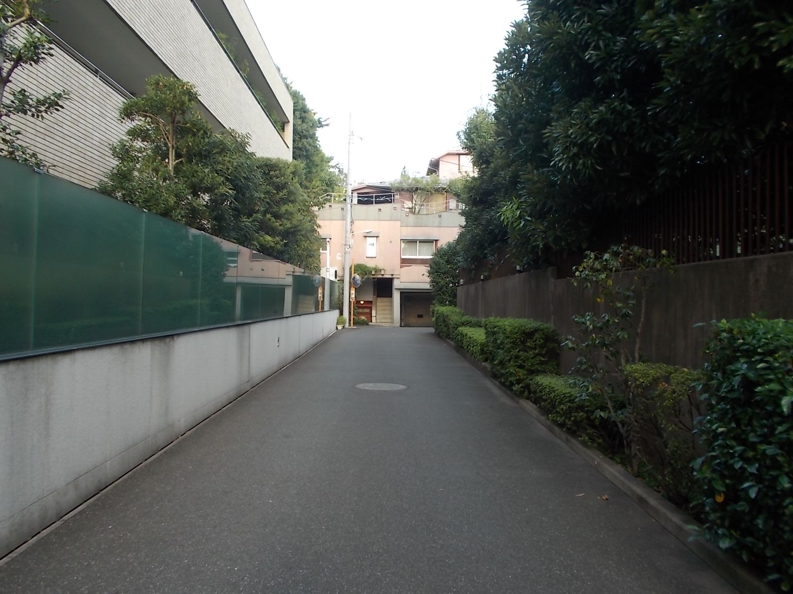 周辺の通り