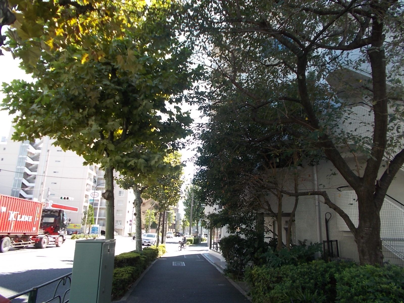 ビル前の歩道周辺は緑が多い