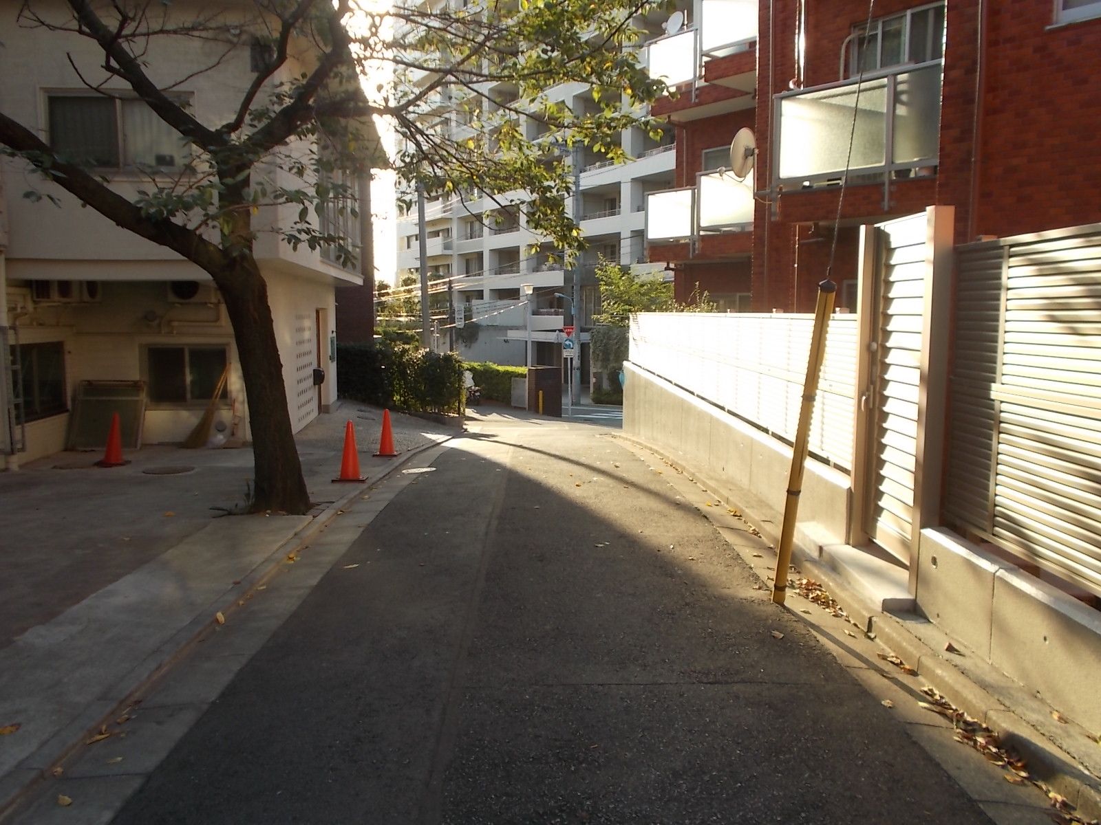 ビル前面の通り