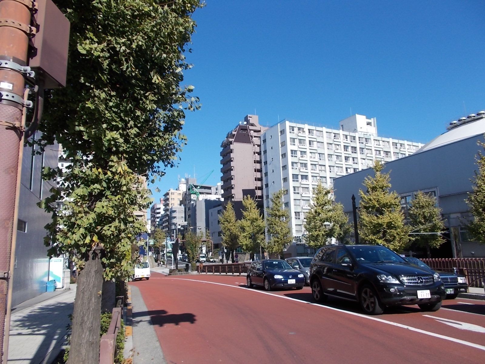 目白通りが近い立地
