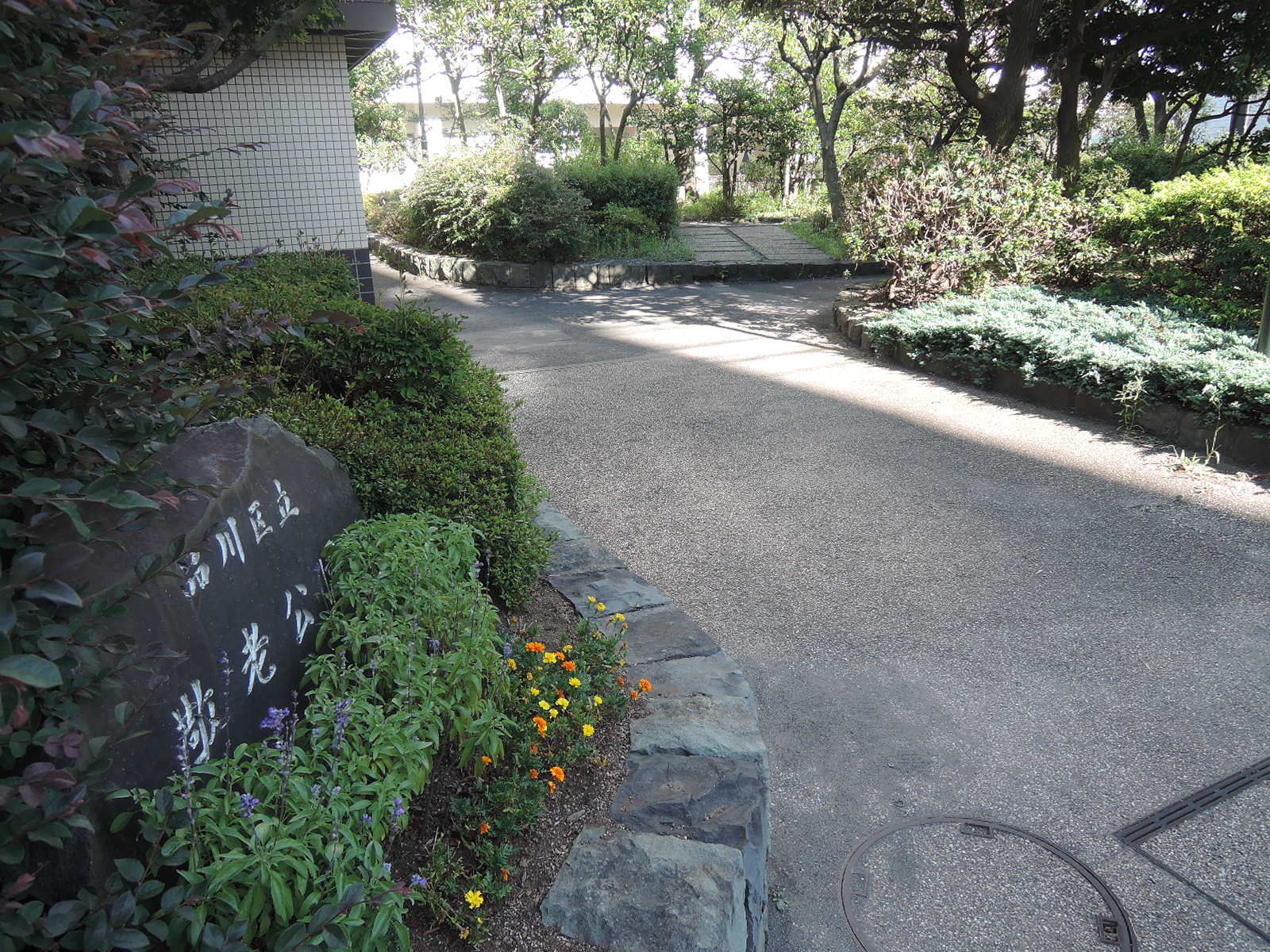 向かいにある区立公園