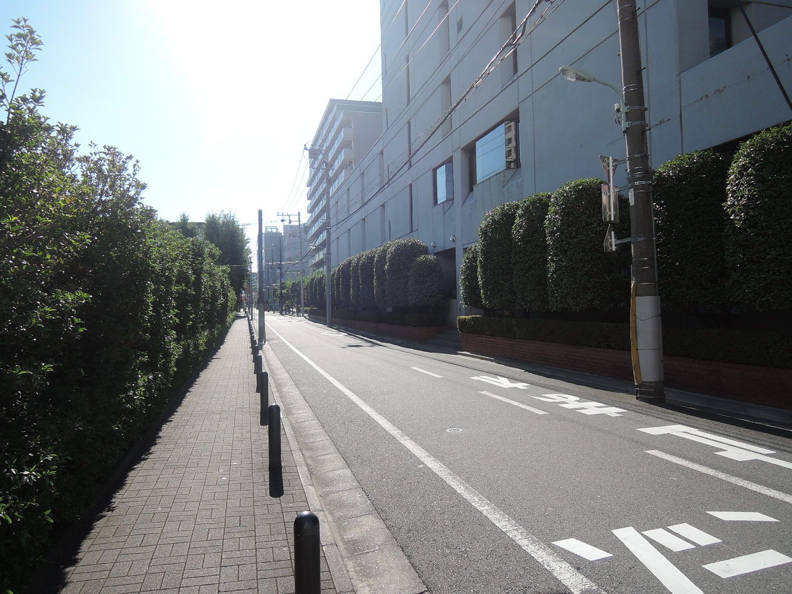 オフィスビル脇の通路