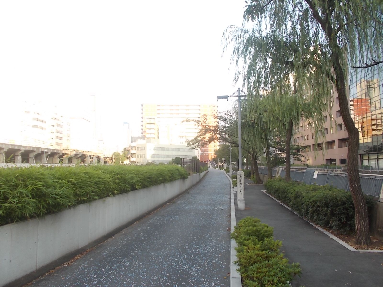 シンデン本社ビル向かいの歩道