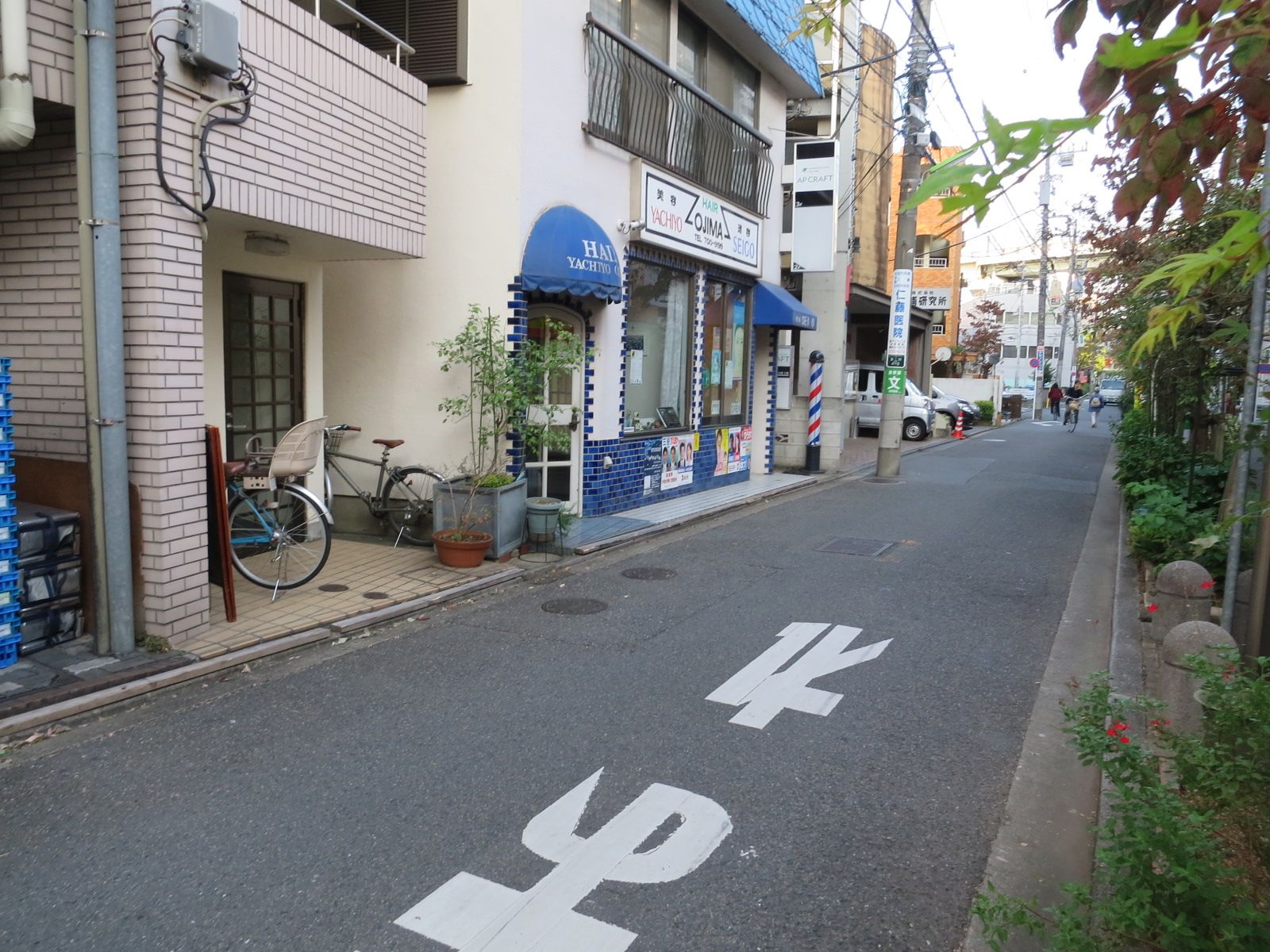 尾嶋ビル入口前面の通り