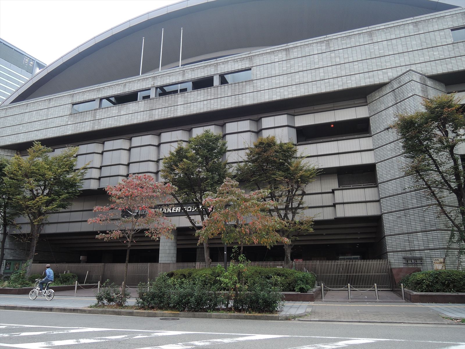 向かいの大阪府立体育会館