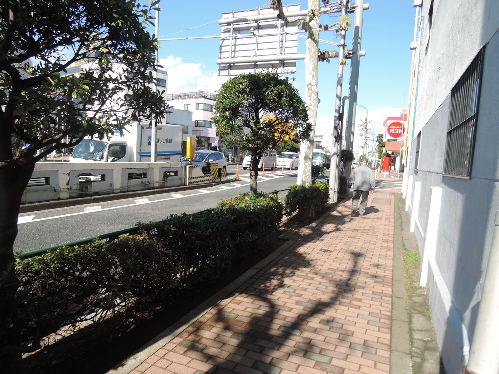 若林ビル前面の通り