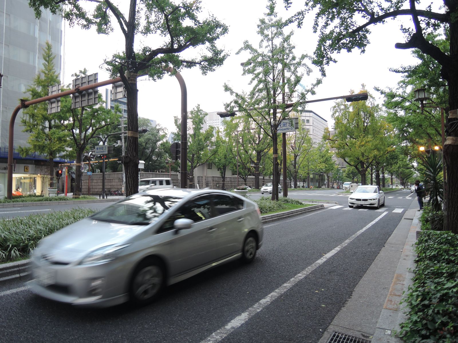 向かいの御堂筋