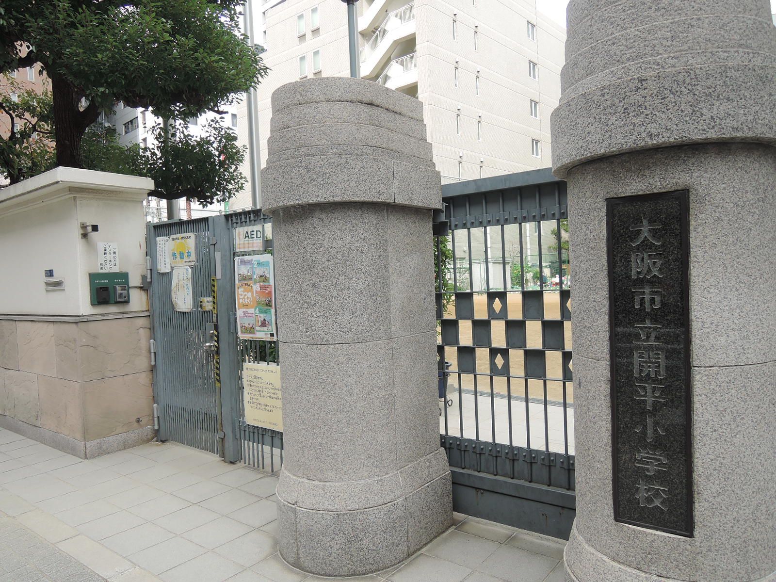 向かいにある小学校