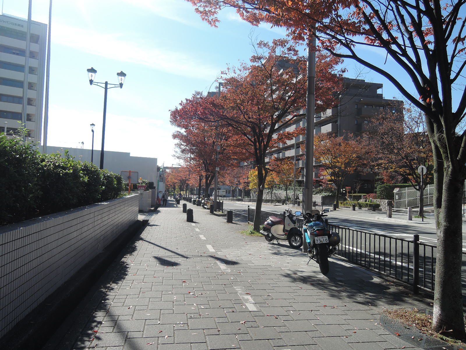 オフィスビル前の歩道