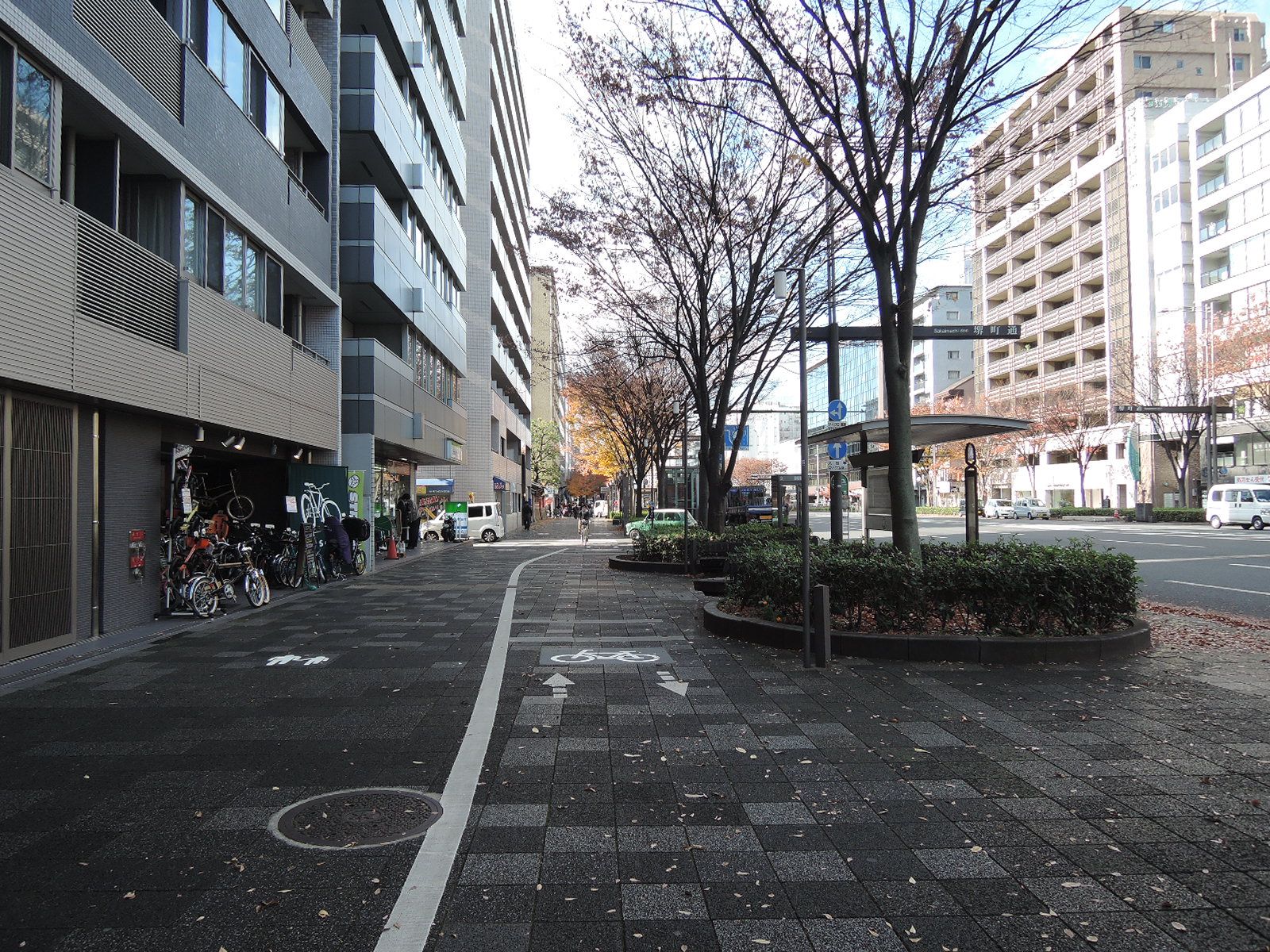 歩道が広く、並木も明るい印象のオフィス周辺