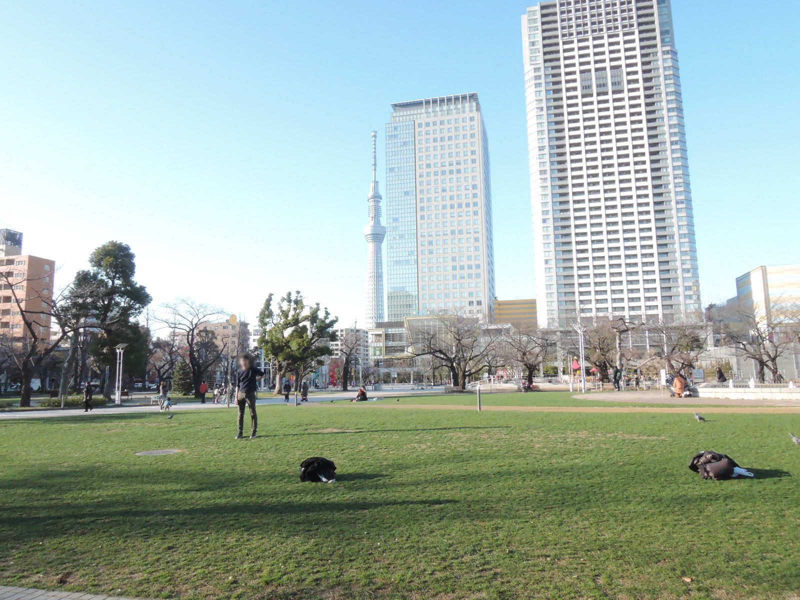 たくさんの人で賑わう錦糸公園