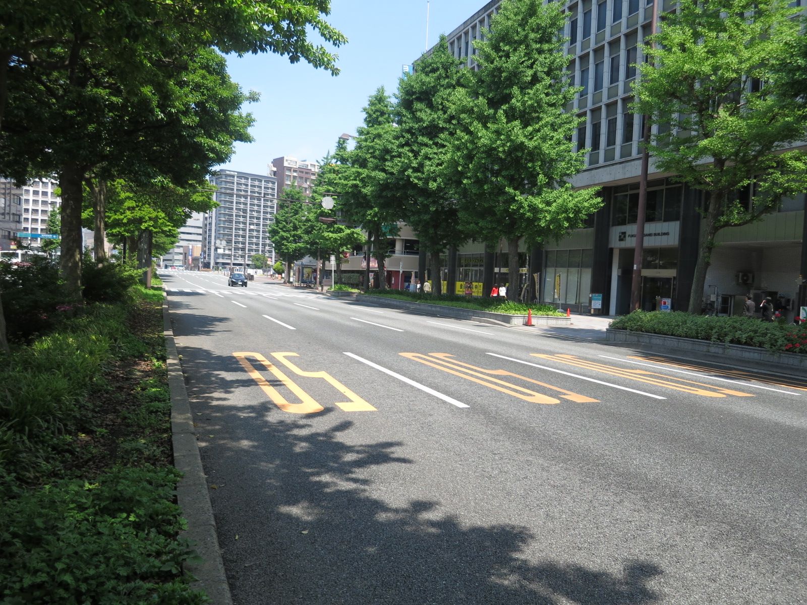 街路樹が美しいオフィスビル前