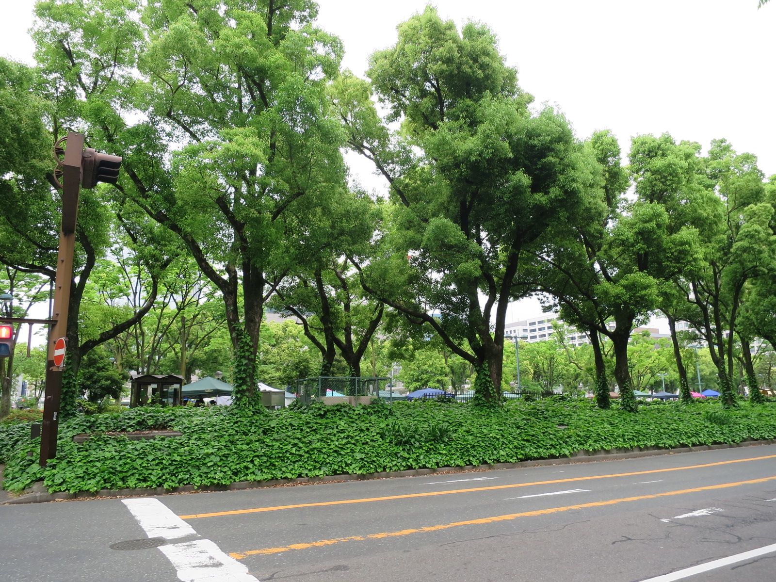 緑あふれる沿道