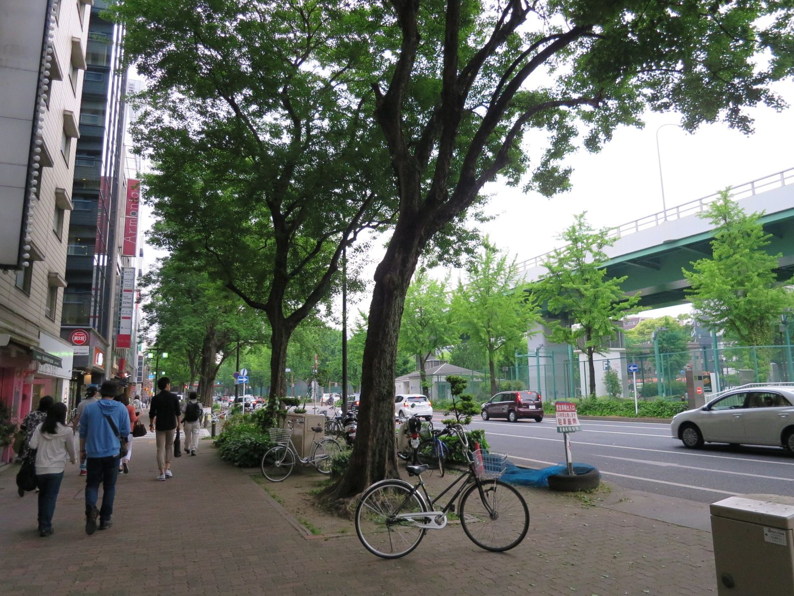緑の多い環境