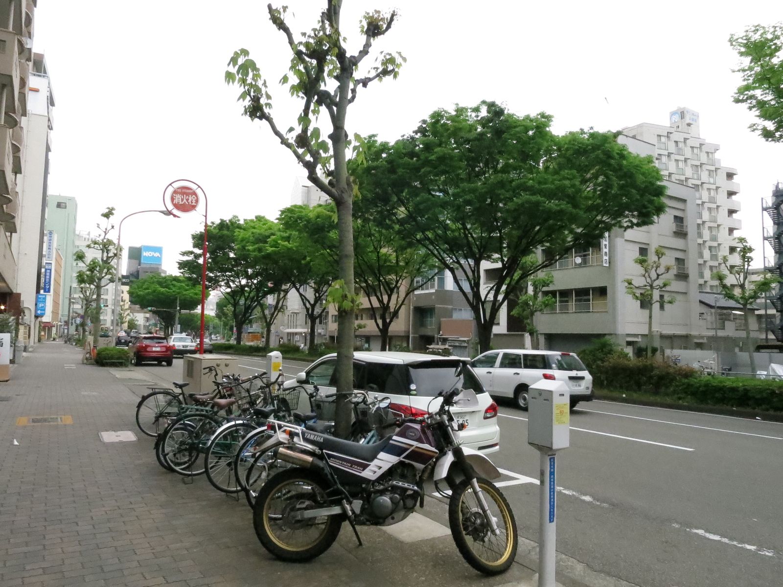 上前津KD前の沿道