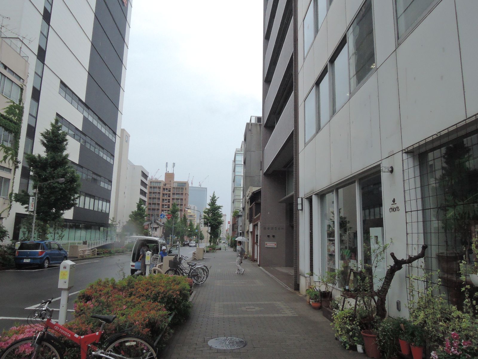 植栽も多い道路