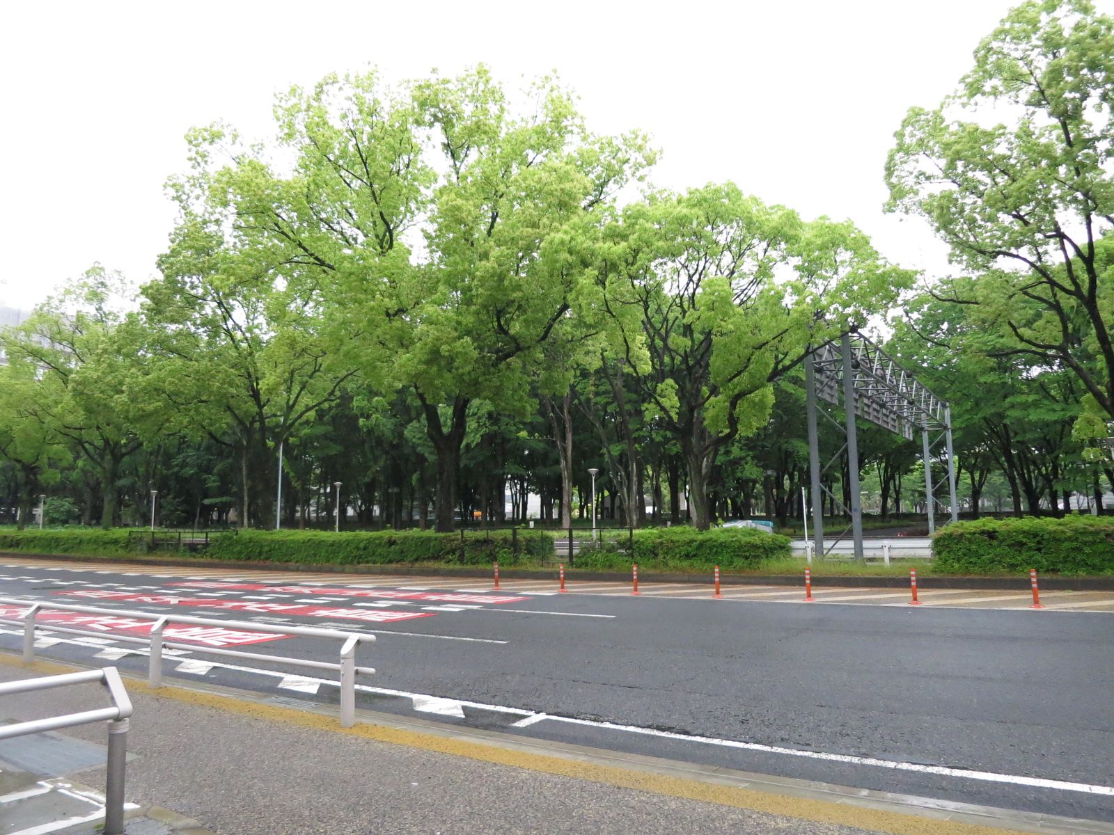 緑が豊富な周辺