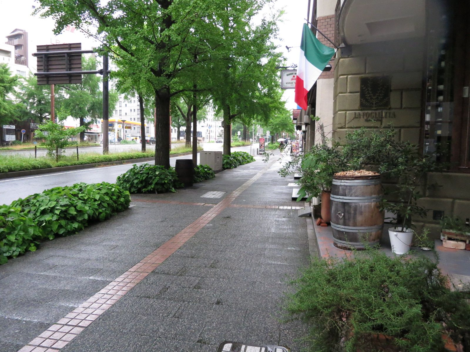 オフィス前面の通り