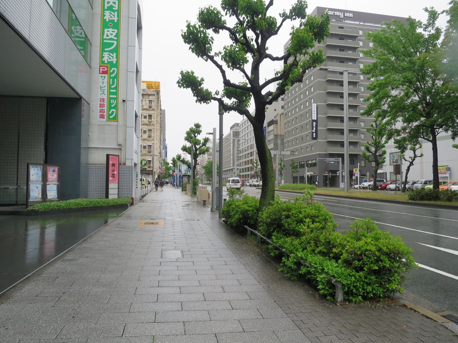 前面の錦通