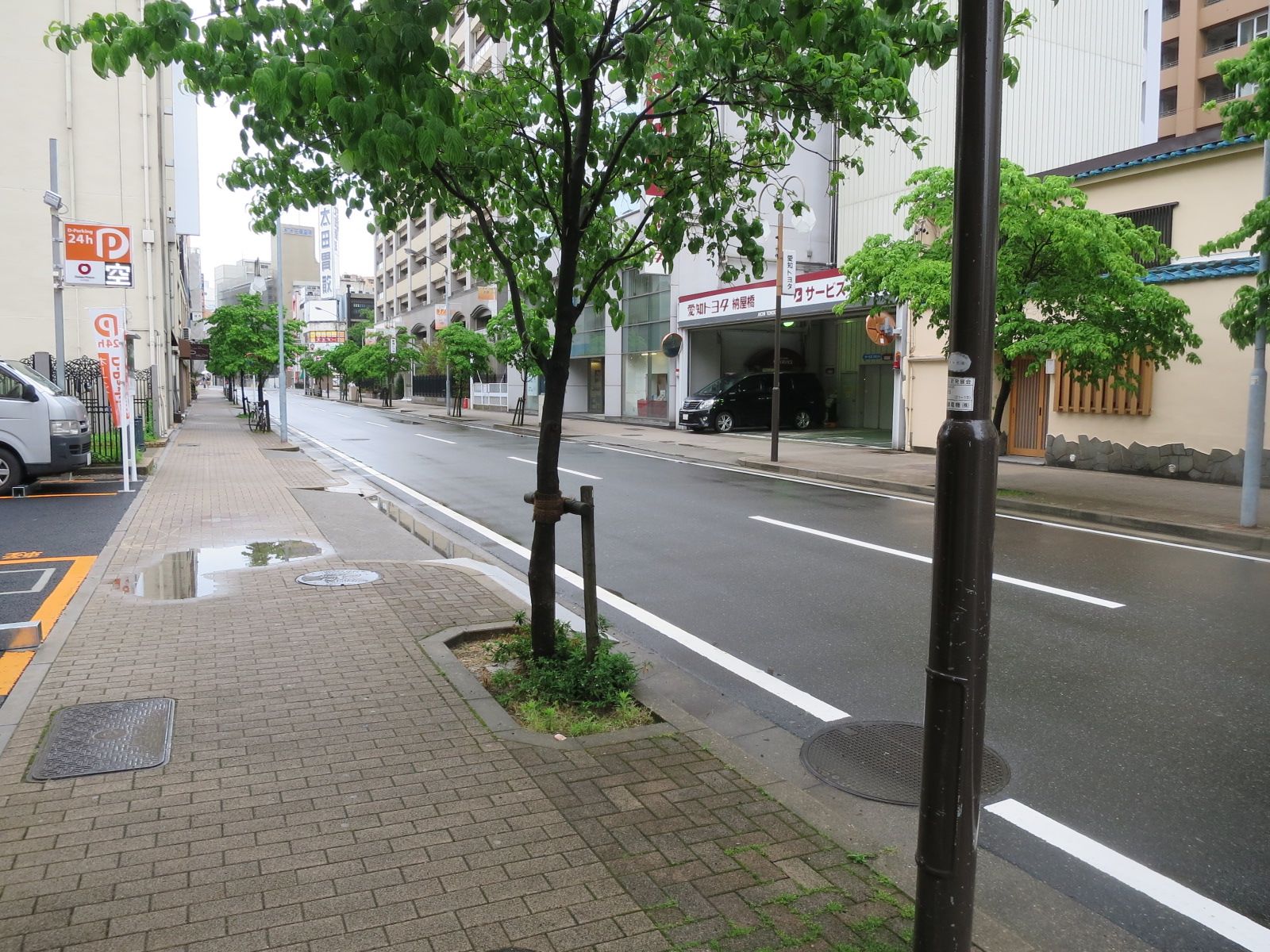 緑が立ち並ぶ通り