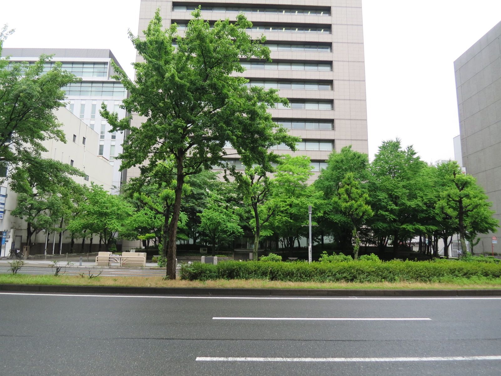 緑が目に鮮やかな環境