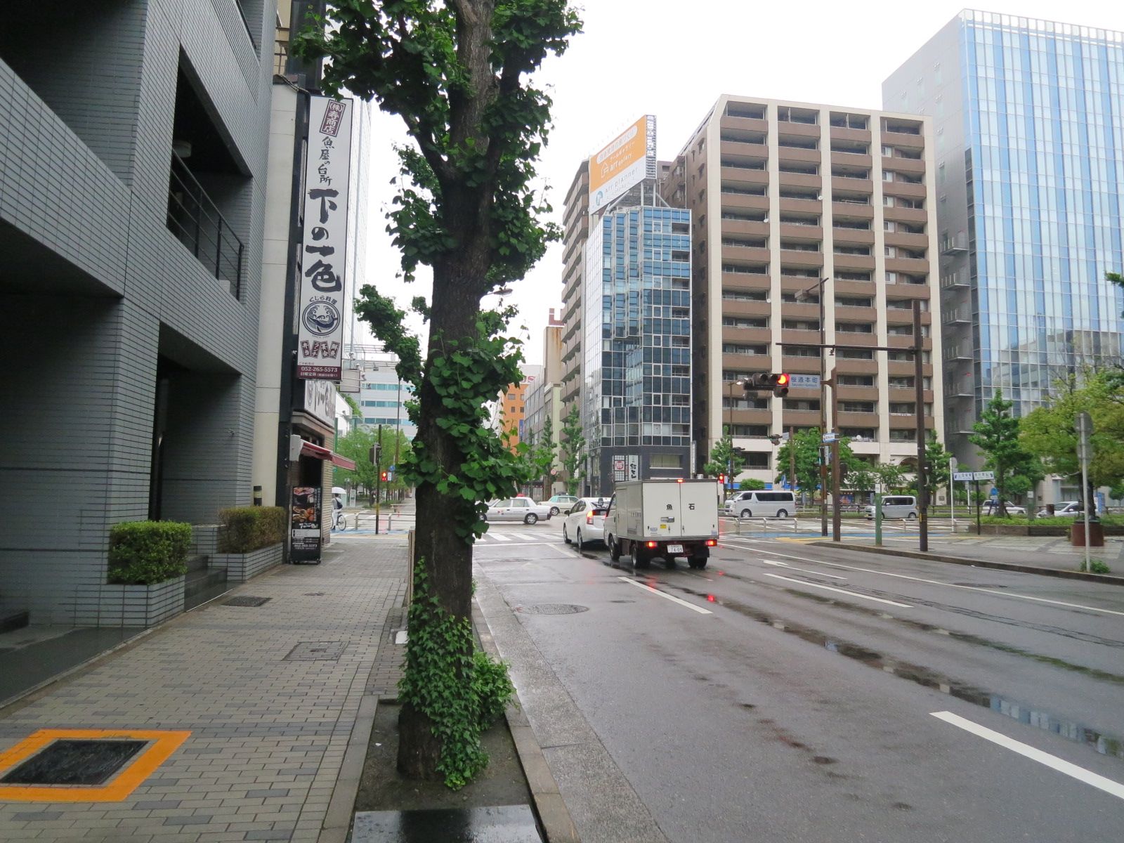 街路樹が目に映える