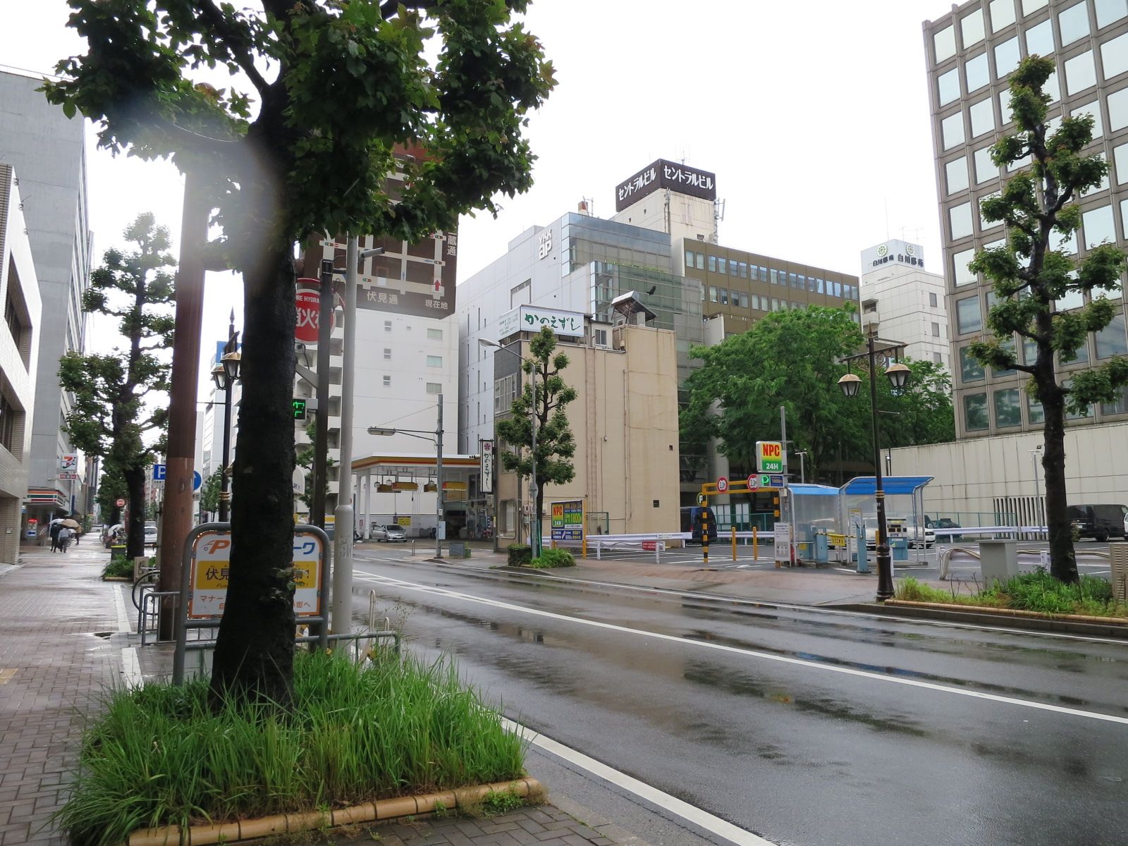 舗装された周辺の道