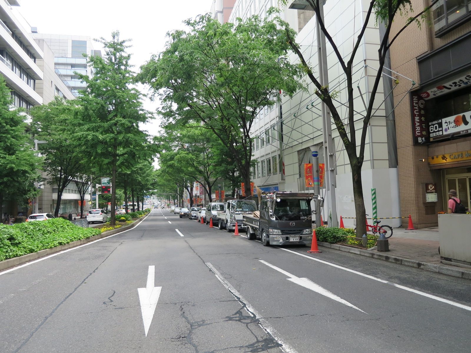 緑が多い前面通り