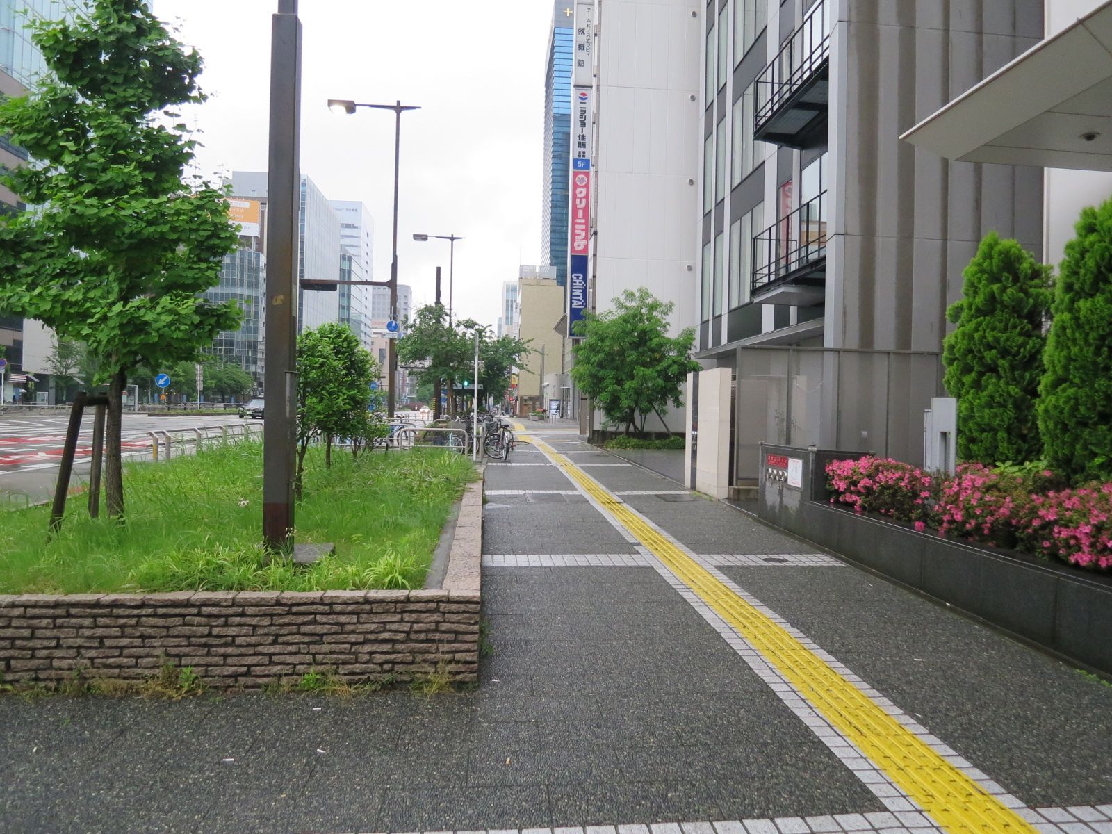 緑豊かな雰囲気に整えられた歩道