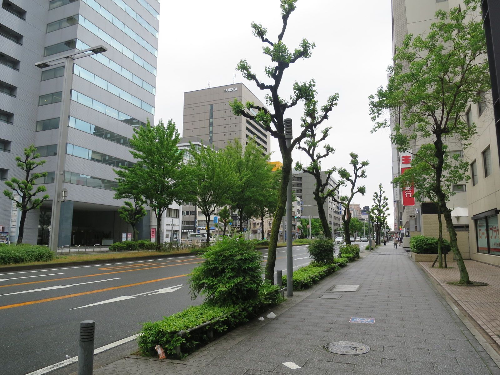 街路樹の緑が映える