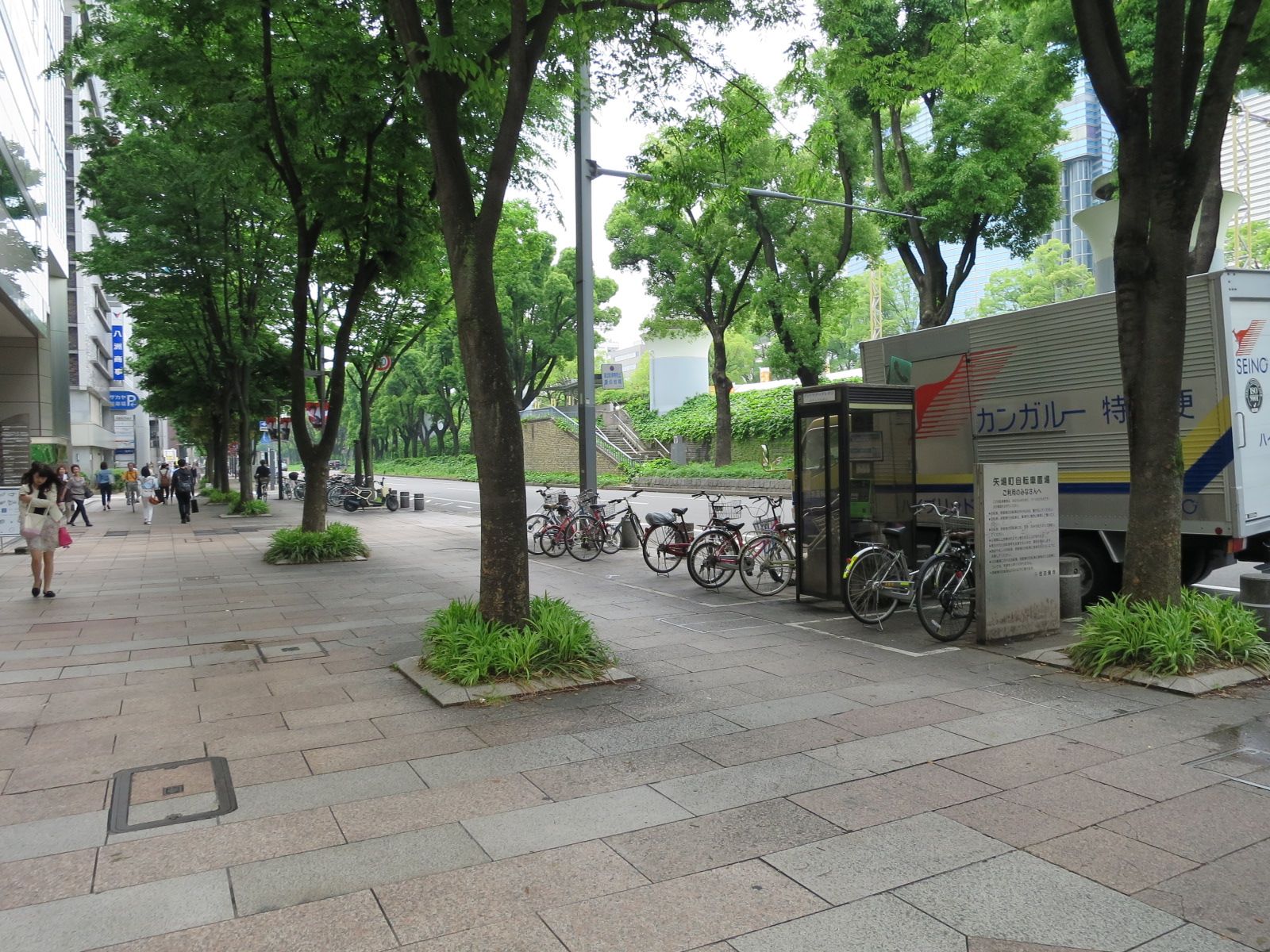 緑の多い前面通り