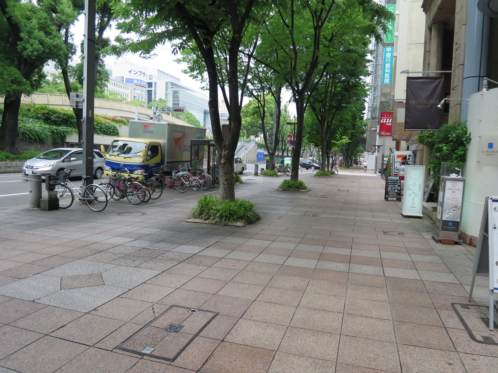 舗装された歩道